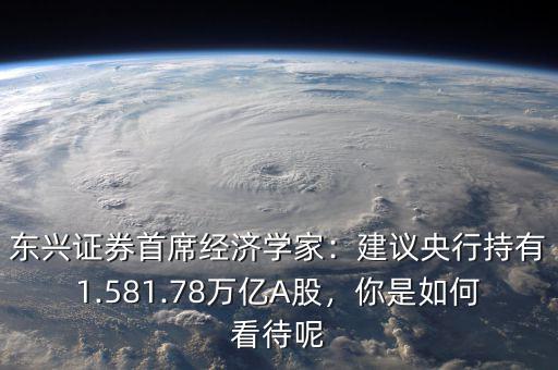 東興證券首席經(jīng)濟學(xué)家：建議央行持有1.581.78萬億A股，你是如何看待呢