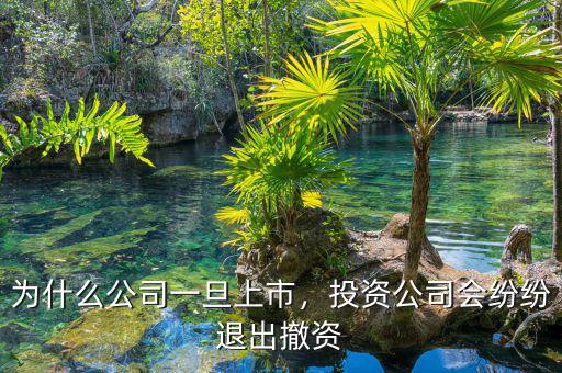 為什么公司一旦上市，投資公司會(huì)紛紛退出撤資