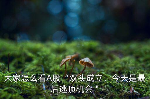 大家怎么看A股“雙頭成立，今天是最后逃頂機會＂