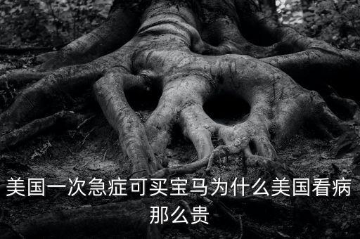 為什么在美國(guó)看病很貴,美國(guó)一次急癥可買(mǎi)寶馬