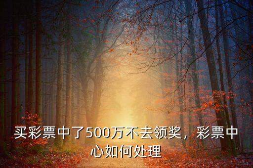 qq彩票中500萬怎么提,彩票中心如何處理