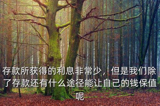 存款所獲得的利息非常少，但是我們除了存款還有什么途徑能讓自己的錢保值呢