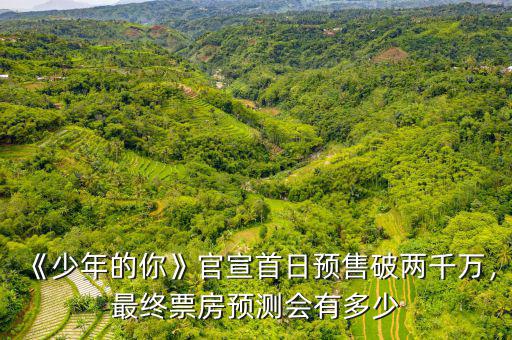 《少年的你》官宣首日預(yù)售破兩千萬(wàn)，最終票房預(yù)測(cè)會(huì)有多少