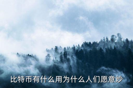 比特幣有什么用為什么人們愿意炒