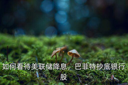 如何看待美聯(lián)儲降息，巴菲特抄底銀行股