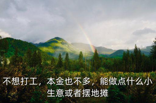 不想打工，本金也不多，能做點(diǎn)什么小生意或者擺地?cái)? class=