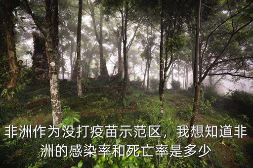 非洲作為沒打疫苗示范區(qū)，我想知道非洲的感染率和死亡率是多少