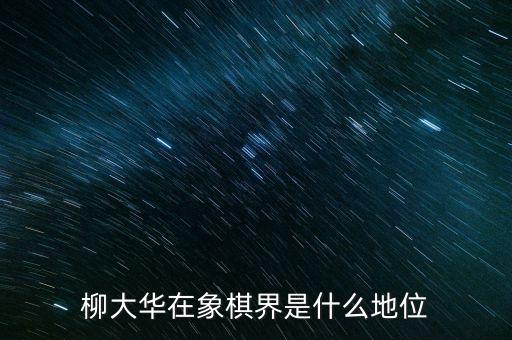 柳大華在象棋界是什么地位