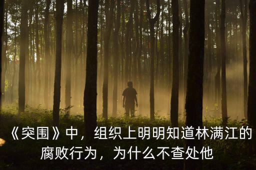 《突圍》中，組織上明明知道林滿江的腐敗行為，為什么不查處他