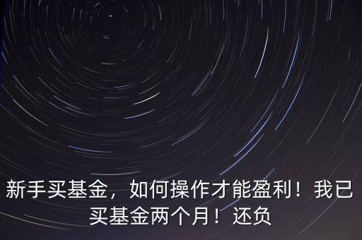 新手買基金，如何操作才能盈利！我已買基金兩個月！還負(fù)