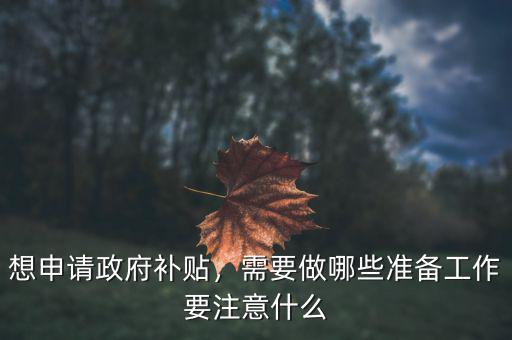 想申請政府補貼，需要做哪些準備工作要注意什么