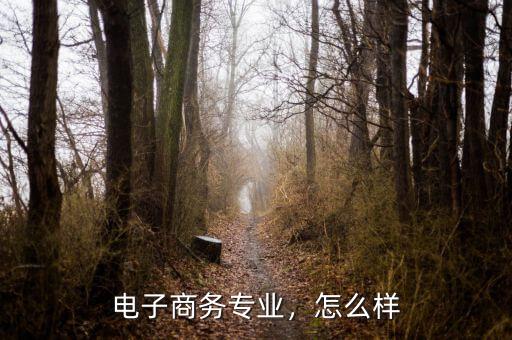 美的電子商務(wù)怎么樣,電子商務(wù)專業(yè)