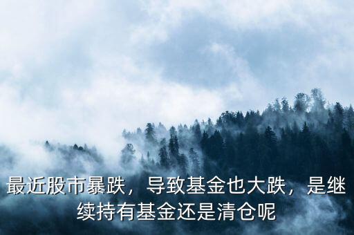 最近股市暴跌，導致基金也大跌，是繼續(xù)持有基金還是清倉呢