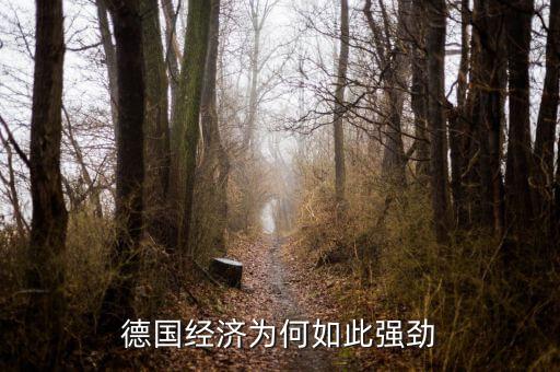 德國經(jīng)濟為何如此強勁