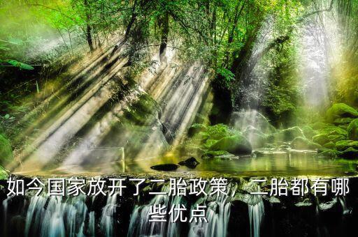 如今國家放開了二胎政策，二胎都有哪些優(yōu)點