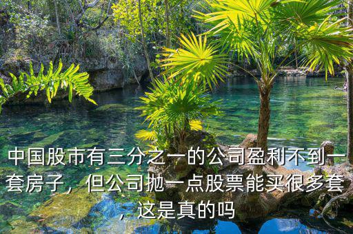 中國股市有三分之一的公司盈利不到一套房子，但公司拋一點(diǎn)股票能買很多套，這是真的嗎