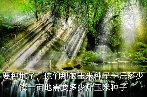 要種地了，你們那的玉米種子一斤多少錢(qián)一畝地需要多少斤玉米種子