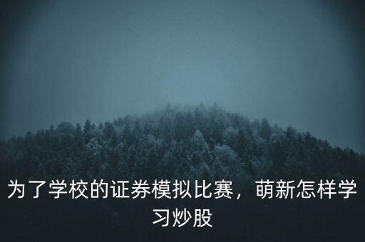 為了學校的證券模擬比賽，萌新怎樣學習炒股