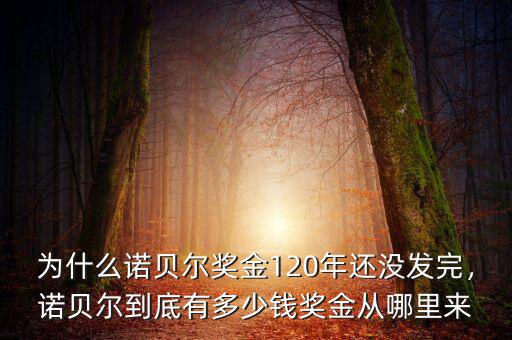 為什么諾貝爾獎(jiǎng)金120年還沒(méi)發(fā)完，諾貝爾到底有多少錢獎(jiǎng)金從哪里來(lái)