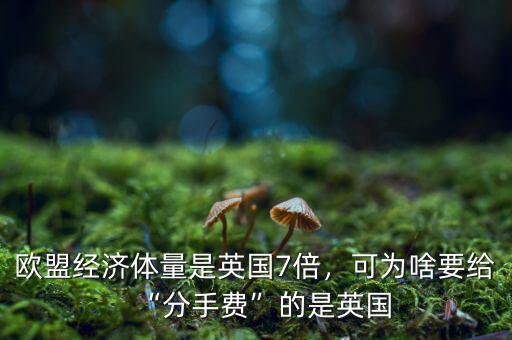 歐盟經(jīng)濟體量是英國7倍，可為啥要給“分手費”的是英國