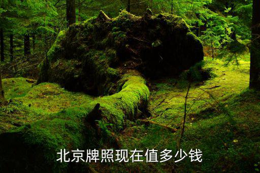 征信牌照價值多少錢,2020北京車牌值多少錢