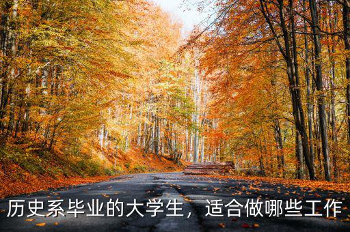歷史系畢業(yè)的大學(xué)生，適合做哪些工作