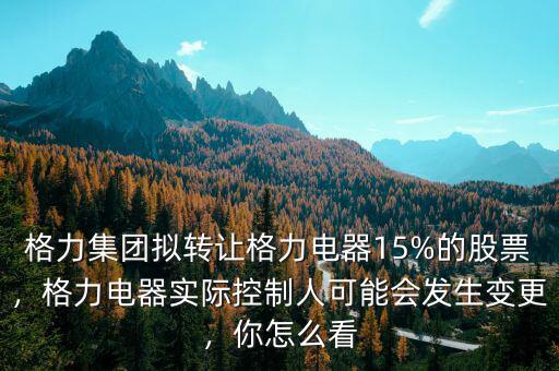 格力集團(tuán)擬轉(zhuǎn)讓格力電器15%的股票，格力電器實(shí)際控制人可能會(huì)發(fā)生變更，你怎么看