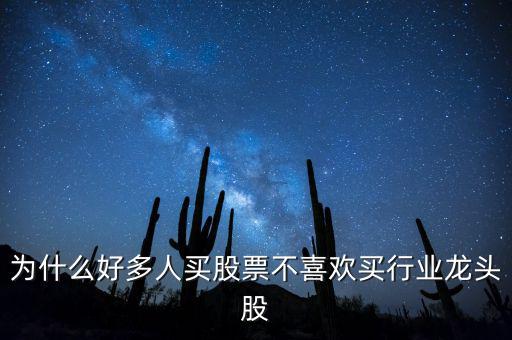 為什么好多人買(mǎi)股票不喜歡買(mǎi)行業(yè)龍頭股
