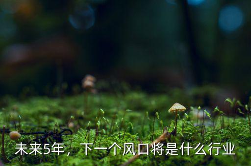 未來5年，下一個風(fēng)口將是什么行業(yè)