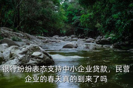 銀行紛紛表態(tài)支持中小企業(yè)貸款，民營(yíng)企業(yè)的春天真的到來(lái)了嗎