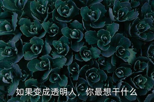 如果變成透明人，你最想干什么