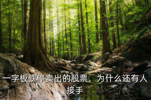 一字板跌停賣(mài)出的股票，為什么還有人接手