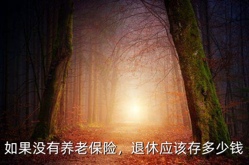 如果沒有養(yǎng)老保險，退休應(yīng)該存多少錢