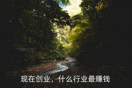 現(xiàn)在創(chuàng)業(yè)，什么行業(yè)最賺錢