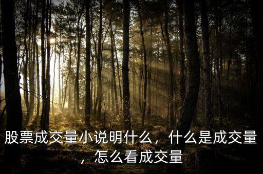 股票成交量小說明什么，什么是成交量，怎么看成交量