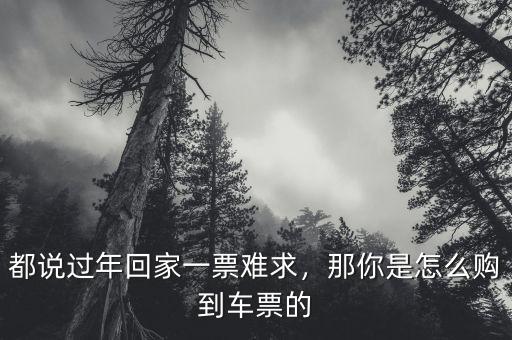 都說過年回家一票難求，那你是怎么購到車票的