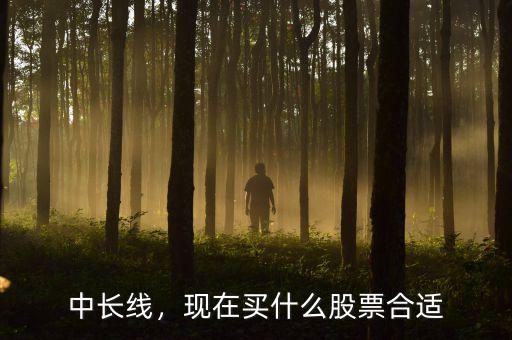 中長線，現(xiàn)在買什么股票合適