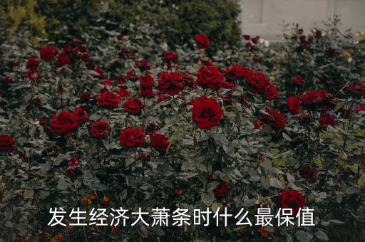 經(jīng)濟不景氣時什么消費最大,發(fā)生經(jīng)濟大蕭條時什么最保值