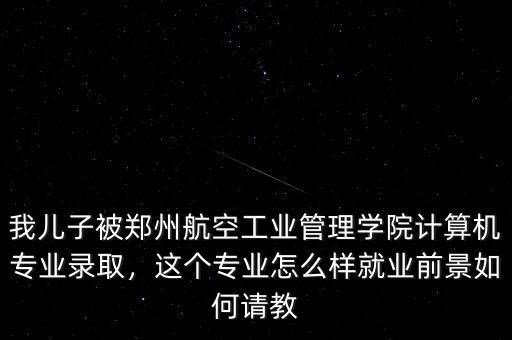 我兒子被鄭州航空工業(yè)管理學(xué)院計算機(jī)專業(yè)錄取，這個專業(yè)怎么樣就業(yè)前景如何請教
