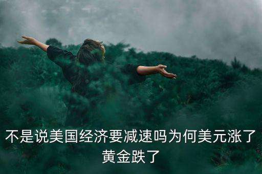 不是說美國經濟要減速嗎為何美元漲了黃金跌了