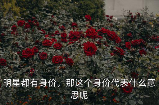 明星都有身價(jià)，那這個(gè)身價(jià)代表什么意思呢