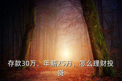 存款30萬，年薪25萬，怎么理財投資