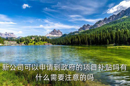 新公司可以申請到政府的項目補貼嗎有什么需要注意的嗎
