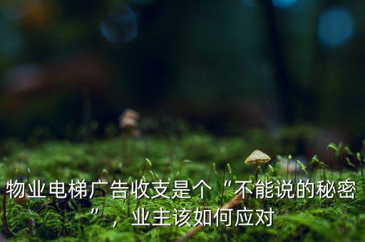 不能說的秘密投資了多少,周蒙不能說的秘密