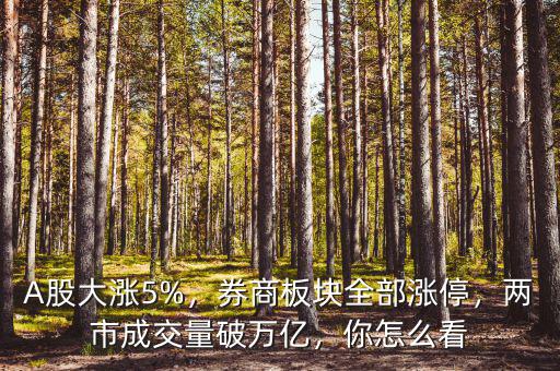 A股大漲5%，券商板塊全部漲停，兩市成交量破萬億，你怎么看