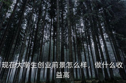 現(xiàn)在大學(xué)生創(chuàng)業(yè)前景怎么樣，做什么收益高
