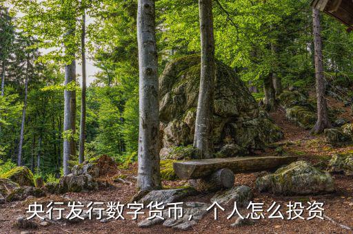 央行發(fā)行數(shù)字貨幣，個(gè)人怎么投資