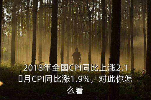 2018年全國CPI同比上漲2.1月CPI同比漲1.9%，對(duì)此你怎么看