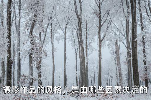 攝影作品的風(fēng)格，是由哪些因素決定的