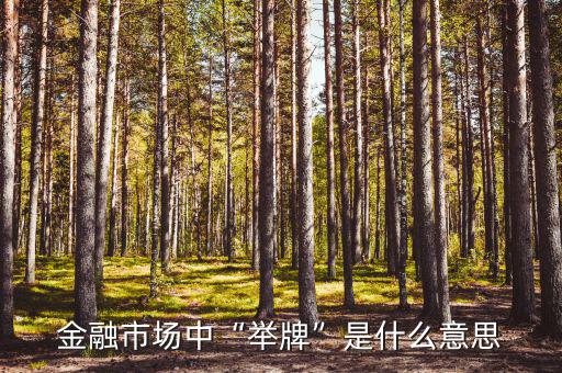 金融市場中“舉牌”是什么意思